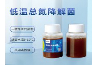 反硝化細(xì)菌在污水處理中的具體應(yīng)用是什么？